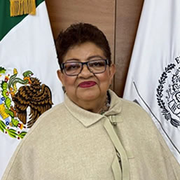 Imágen del titular Ernestina Godoy Ramos