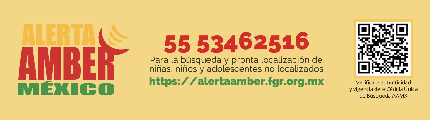 Go to AlertaAmber MX: https://alertaamber.fgr.org.mx